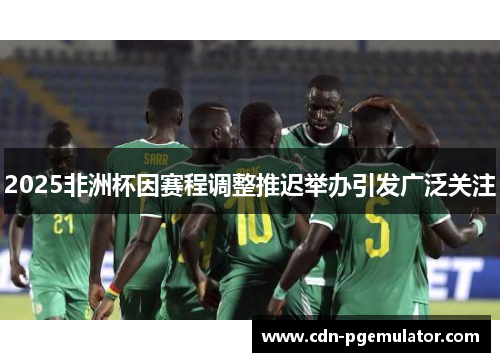 2025非洲杯因赛程调整推迟举办引发广泛关注